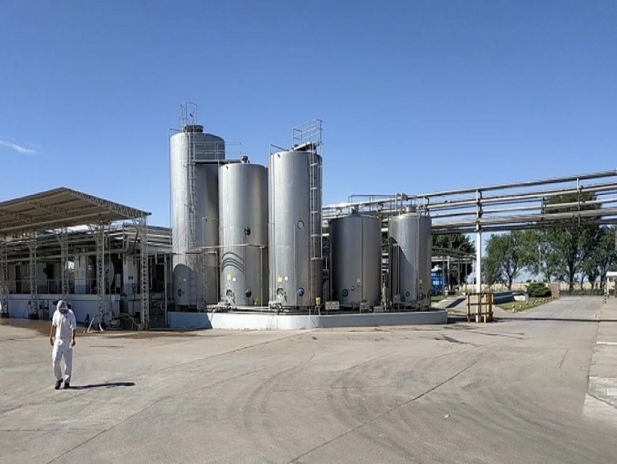 PLANTA LACTEA PARALIZADA