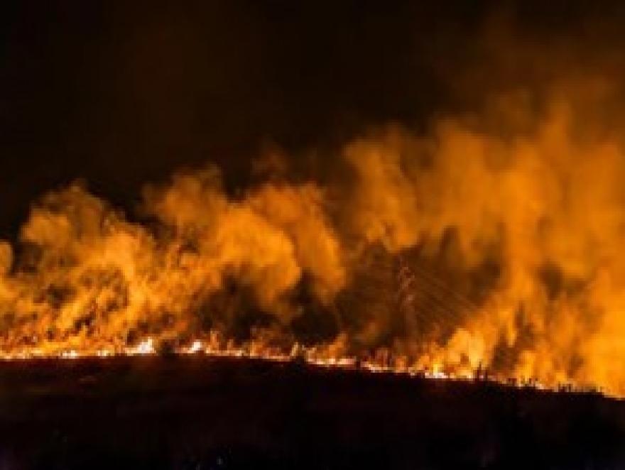 INCENDIOS FORESTALES