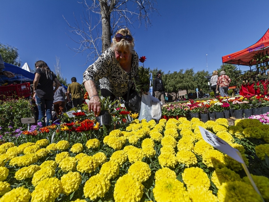 LA GRANJA SE VISTE DE PRIMAVERA