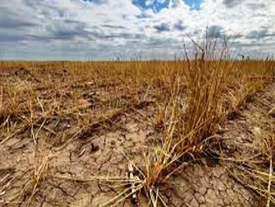 EMERGENCIA AGROPECUARIA