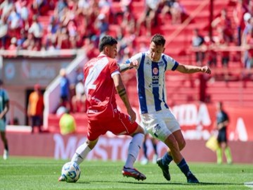 BICHO EN LAS COPAS