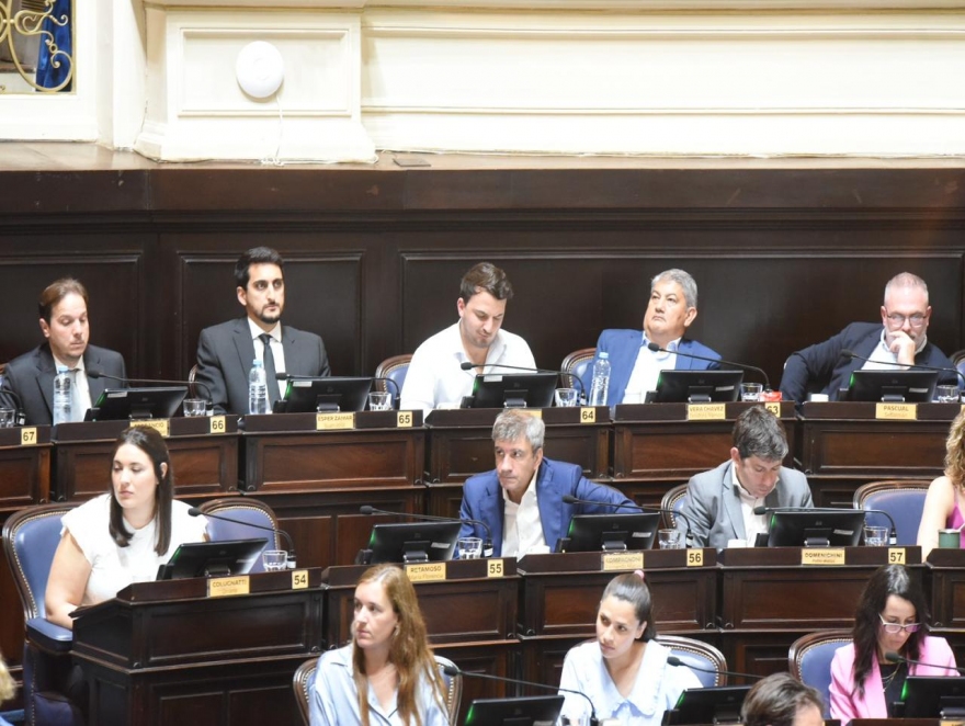 DIPUTADOS CULPAN A ALONSO