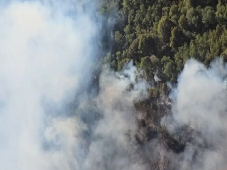 AVANZAN LOS INCENDIOS