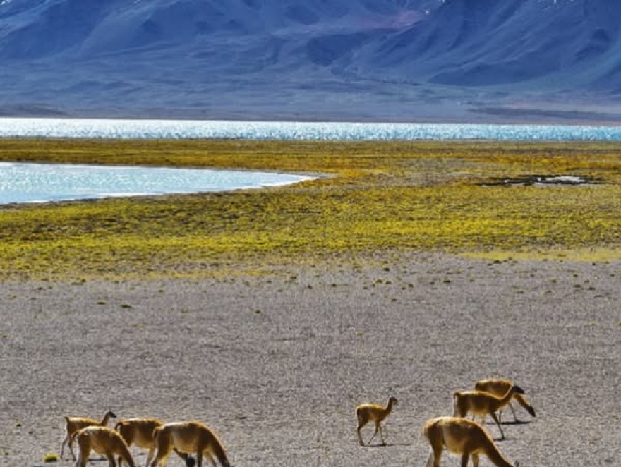 LAGUNA DEL DIAMANTE