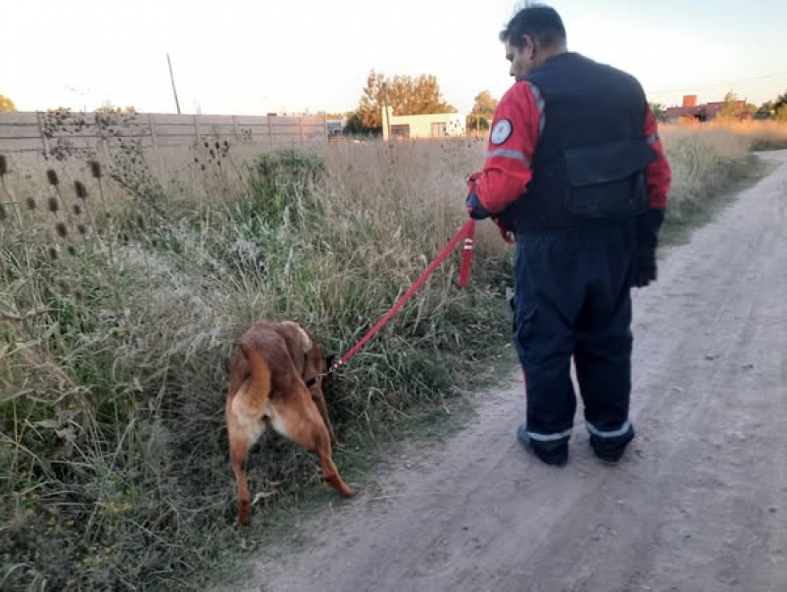 GRAN LOGRO DE BOMBEROS ALTE.BROWN