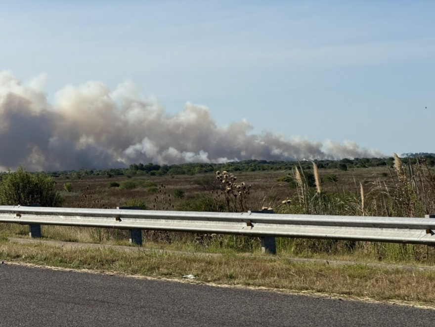 INCENDIOS EN PUNTA LARA