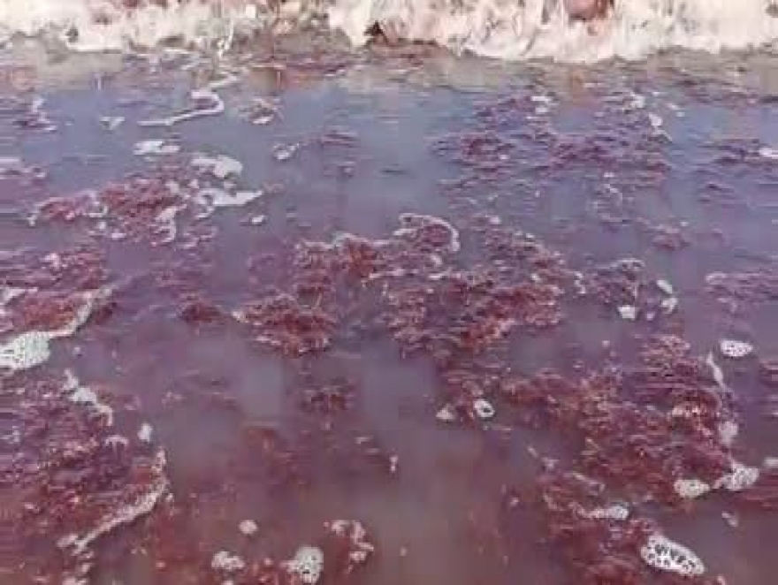 EL MAR ROJO EN NECOCHEA